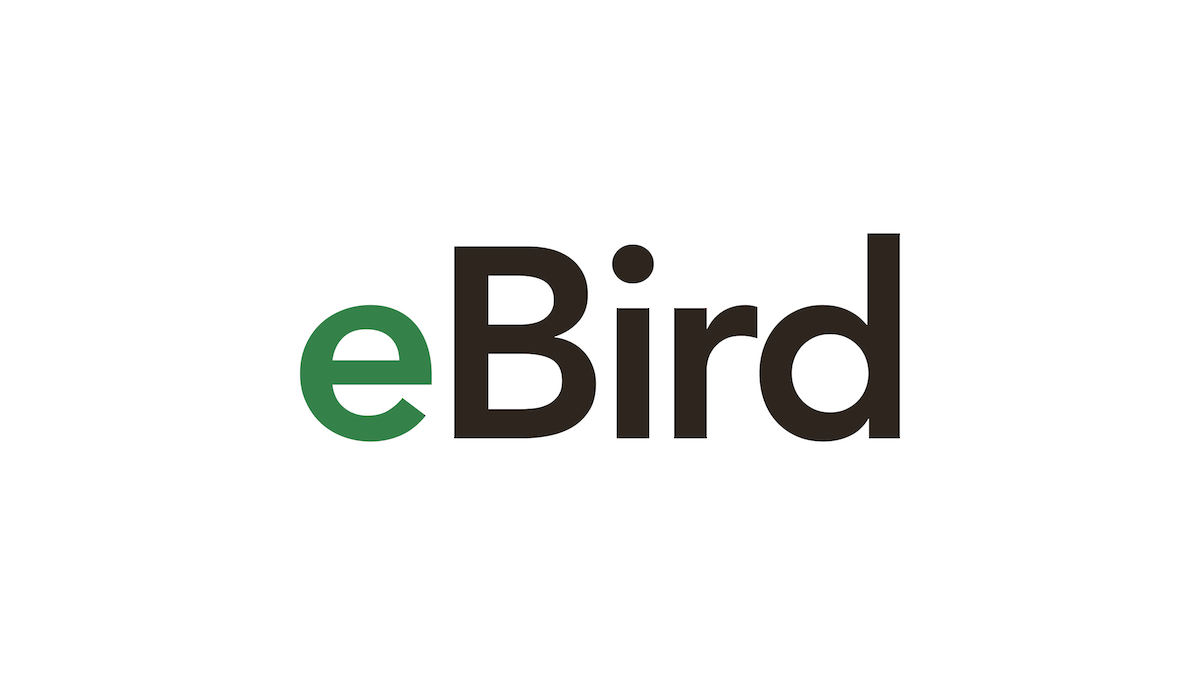 Image result for ebird
